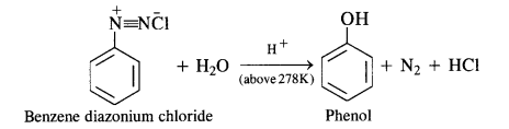 NCERT Solutions for 12th Class Chemistry:Chapter 13-Amines Ex. 13.6
