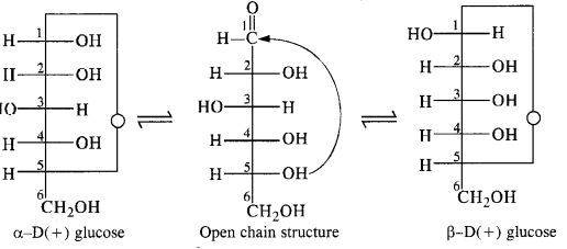 NCERT Solutions for 12th Class Chemistry:Chapter 14-Biomolecules Ex. 14.10