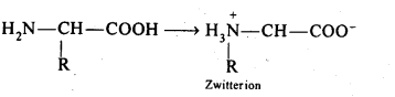 NCERT Solutions for 12th Class Chemistry:Chapter 14-Biomolecules Ex. 14.16