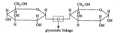 NCERT Solutions for 12th Class Chemistry:Chapter 14-Biomolecules Ex. 14.5