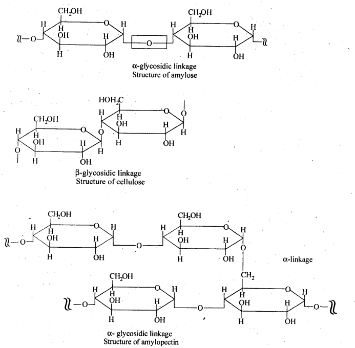 NCERT Solutions for 12th Class Chemistry:Chapter 14-Biomolecules Ex. 14.8