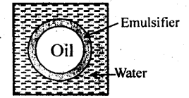NCERT Solutions for 12th Class Chemistry: Chapter 5-Surface Chemistry Ex.5.17