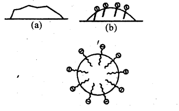 NCERT Solutions for 12th Class Chemistry: Chapter 5-Surface Chemistry Ex.5.18