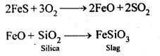 NCERT Solutions for 12th Class Chemistry: Chapter 6-General Principles and Processes of Isolation of Elements Ex.6.17