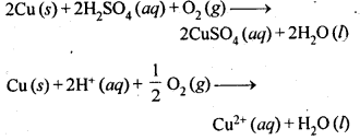 NCERT Solutions for 12th Class Chemistry: Chapter 6-General Principles and Processes of Isolation of Elements Ex.6.19