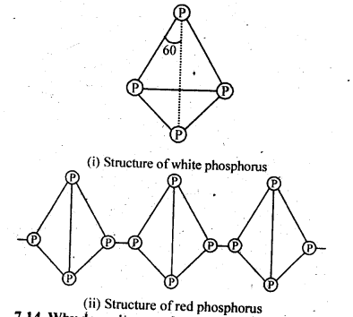 NCERT Solutions for 12th Class Chemistry: Chapter 7-The p Block Elements Ex.7.13