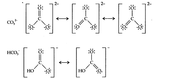 NCERT Solutions for 11th Class Chemistry: Chapter 11-The p-Block Elements Que. 10