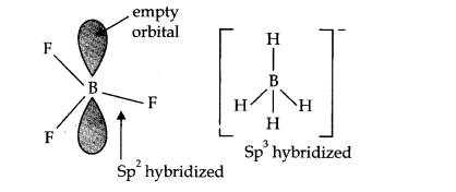 NCERT Solutions for 11th Class Chemistry: Chapter 11-The p-Block Elements Que. 7