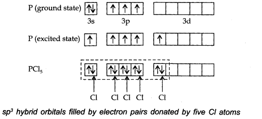 NCERT Solutions for 11th Class Chemistry: Chapter 4-Chemical Bonding and Molecular Structure Que. 38