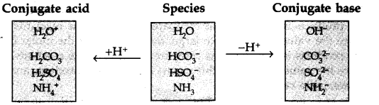 NCERT Solutions for 11th Class Chemistry: Chapter 7-Equilibrium Que. 38