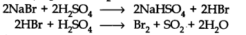 NCERT Solutions for 11th Class Chemistry: Chapter 8-Redox Reactions Que. 12