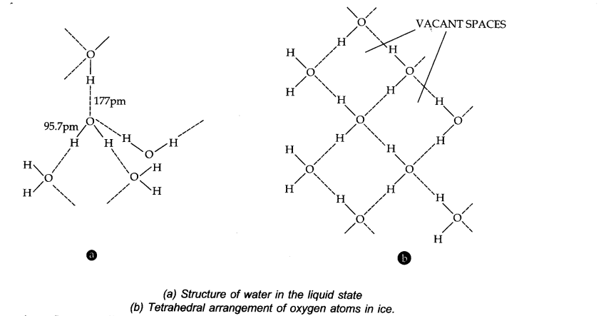 NCERT Solutions for 11th Class Chemistry: Chapter 9-Hydrogen Que. 21
