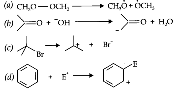 NCERT Solutions for 11th Class Chemistry: Chapter 12-Organic Chemistry Some Basic Principles and Techniques Que. 16