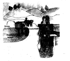 NCERT Solutions for 5th Class Environmental Studies Chapter 10-Walls Tell Stories