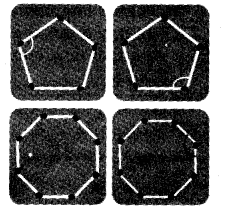 NCERT Solutions for 5th Class Maths Chapter 2-Shapes And Angles