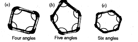 NCERT Solutions for 5th Class Maths Chapter 2-Shapes And Angles