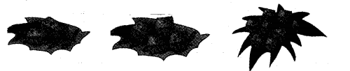 NCERT Solutions for 5th Class Maths Chapter 4-Parts And Wholes