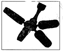 NCERT Solutions for 5th Class Maths Chapter 4-Parts And Wholes