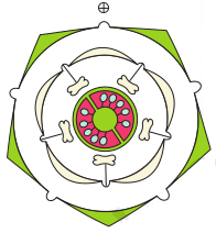 NCERT Solutions for 11th Class Biology: Chapter 5-Morphology of Flowering Plants Que. 9