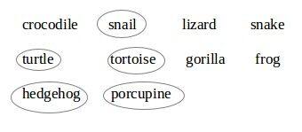 NCERT Solutions for 5th Class English Chapter 16-The Little Bully