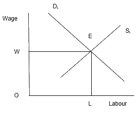 NCERT Solutions for 12th Class Economics (Microeconomics): Chapter 5-Market Equilibrium Que. 19