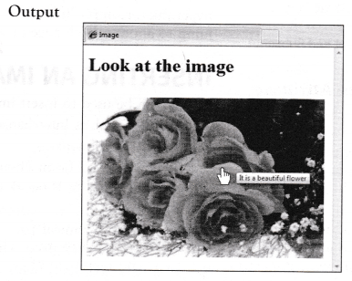 NCERT Solutions for 10th Class Foundation of Information Technology – Inserting Images and Links in HTML