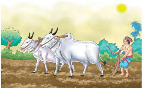 NCERT Solutions for Class 10 Sanskrit (Bhav): Chapter 4-चित्रवर्णनम्