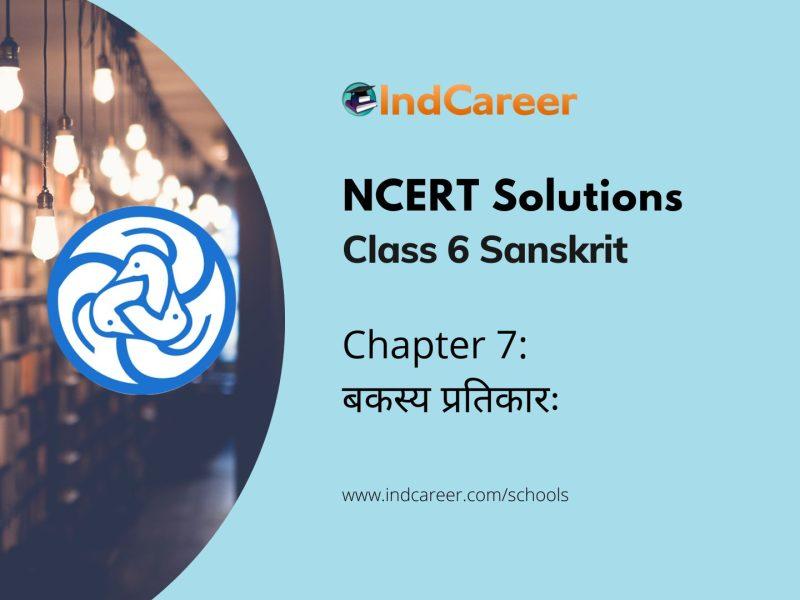 NCERT Solutions for Class 6th Sanskrit: Chapter 7-बकस्य प्रतिकारः