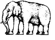 NCERT Solutions for 4th Class Environmental Studies Chapter 3-A Day With Nandu