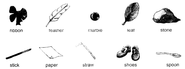 NCERT Solutions for English: Chapter 2-The Bubble, the Straw, and the Shoe
Think Time
Question 1