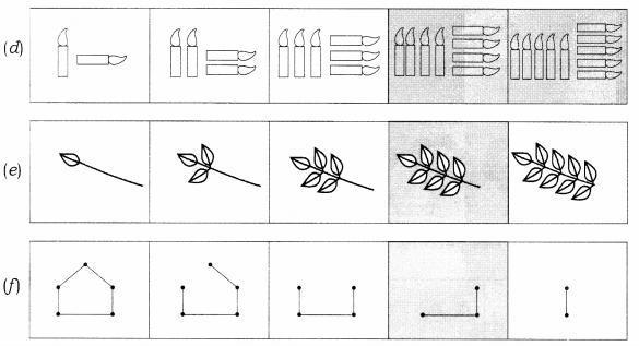 NCERT Solutions for Maths: Chapter 10-Patterns
Question 3