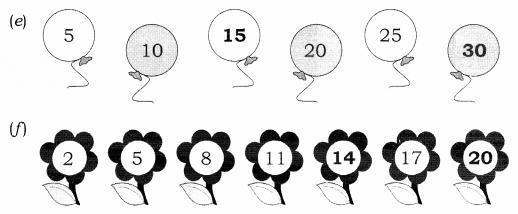 NCERT Solutions for Maths: Chapter 10-Patterns
Question 4