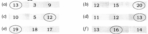 NCERT Solutions for Maths: Chapter 5-Numbers from Ten to Twenty
Question 8