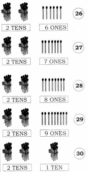 NCERT Solutions for Maths: Chapter 8-Numbers from Twenty-One to Fifty
Question 2