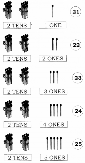 NCERT Solutions for Maths: Chapter 8-Numbers from Twenty-One to Fifty
Question 2