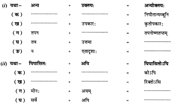 NCERT Solutions for Class 10 Sanskrit (Shemushi): Chapter 12-अनयोक्त्यः