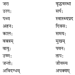 NCERT Solutions for Class 10 Sanskrit (Shemushi): Chapter 3-व्यायामः सर्वदा पथ्यः Que. 5