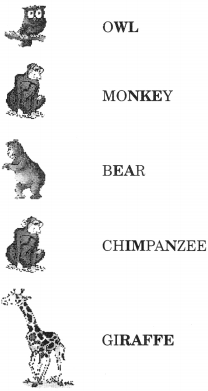 NCERT Solutions for English (Poem): Chapter 6-Zoo Manners
Let’s Do
Question 2