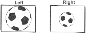 NCERT Solutions for English: Chapter 7-Make it Shorter
Team Time
Question 1.