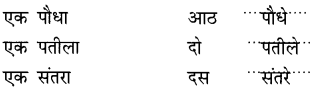 NCERT Solutions for Hindi: Chapter 5-दोस्त की मदद
प्रश्न 10