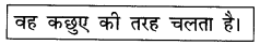 NCERT Solutions for Hindi: Chapter 5-दोस्त की मदद
कछुआ चाल