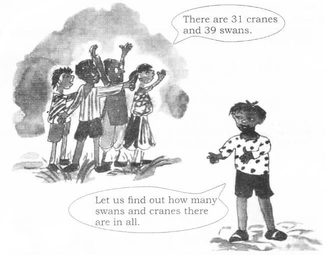NCERT Solutions for Class 2nd Maths: Chapter 14-Birds Come, Birds Go
Page 114