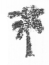 NCERT Solutions for Maths: Chapter 14-Birds Come, Birds Go
Que. 10 (a)
