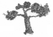 NCERT Solutions for Maths: Chapter 14-Birds Come, Birds Go
Que. 10 (c)