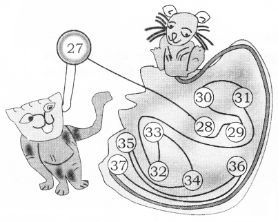 NCERT Solutions for Maths: Chapter 2-Counting in Groups
Puzzling Tail
Que. 10