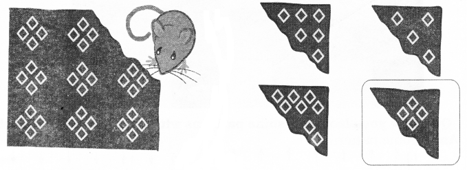 NCERT Solutions for  Maths: Chapter 5-Patterns
Page 31-32
Que. 1