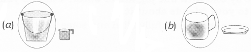 NCERT Solutions for Maths: Chapter 7-Jugs and Mugs
Que. 9