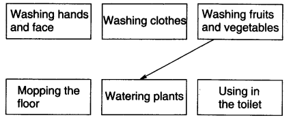 NCERT Solutions for 3rd Class Environmental Studies: Chapter 20-Drop By Drop Que.8 