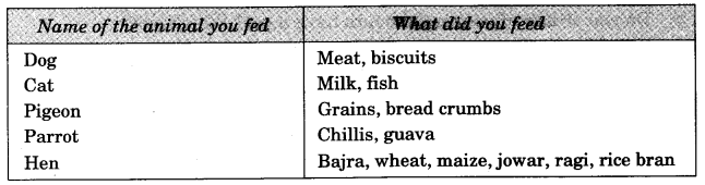 NCERT Solutions for 3rd Class Environmental Studies: Chapter 19-Our Friends-Animal Que. 10