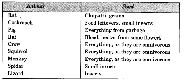 NCERT Solutions for 3rd Class Environmental Studies: Chapter 19-Our Friends-Animal Que. 14